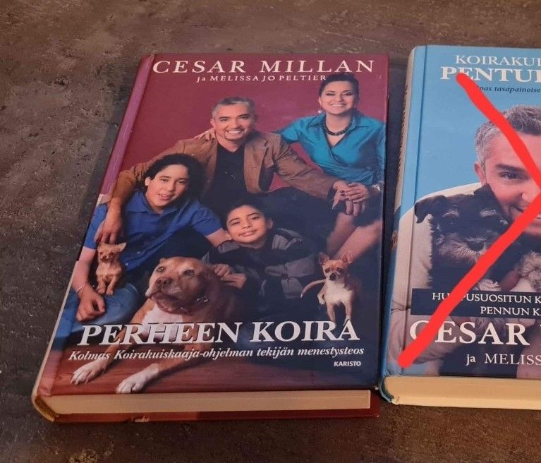 Cesar Millan kirja,  Perheen koira