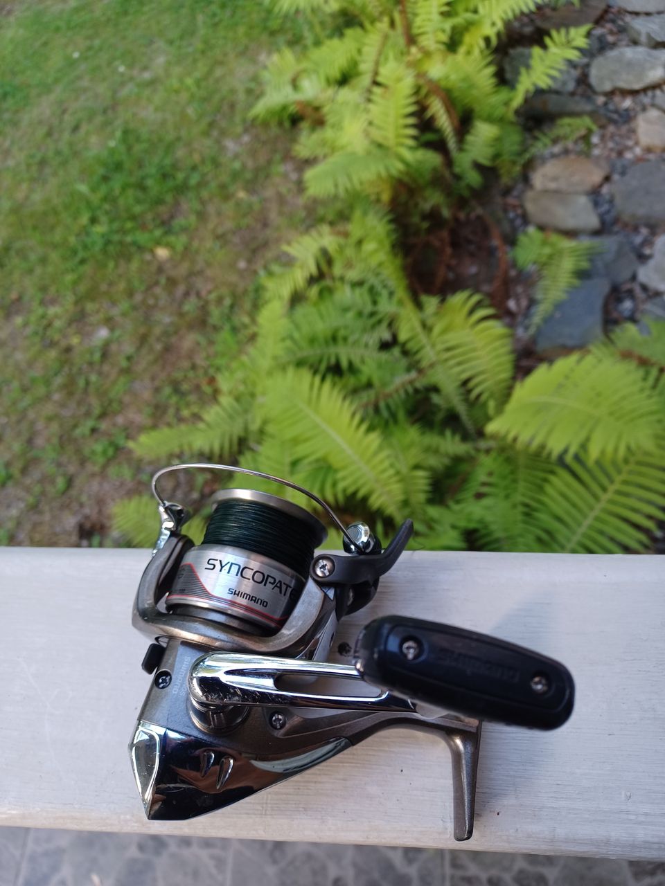 Shimano Syncopate 2500