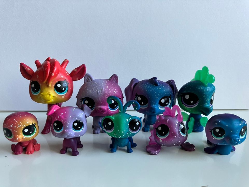 LPS Galaxy