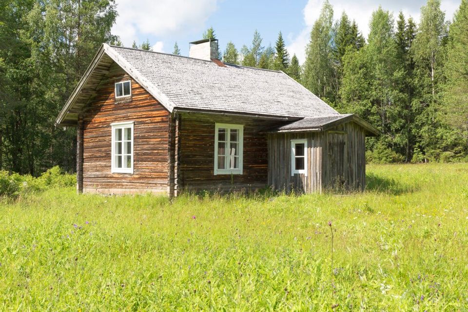 Ostetaan tai vuokrataan autiotalo tai vanha pihapiiri mehiläistarhaukseen