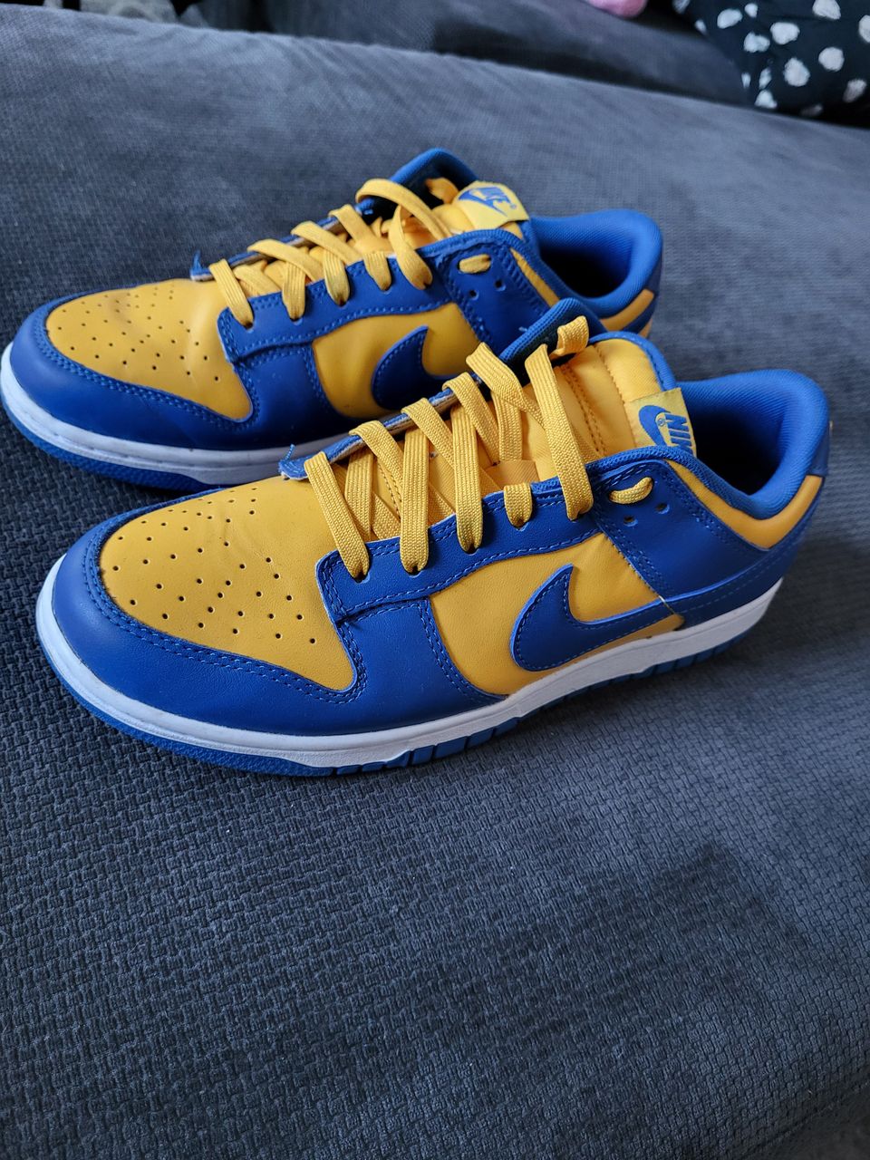 Nike Dunk Low UCLA