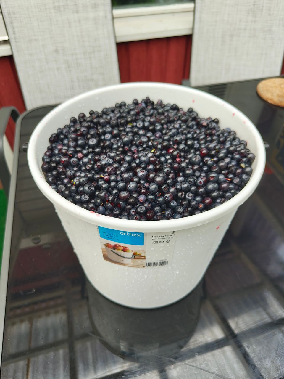 Cleaned Blueberries