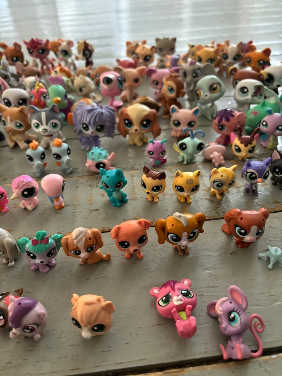 Littlest Pet shop