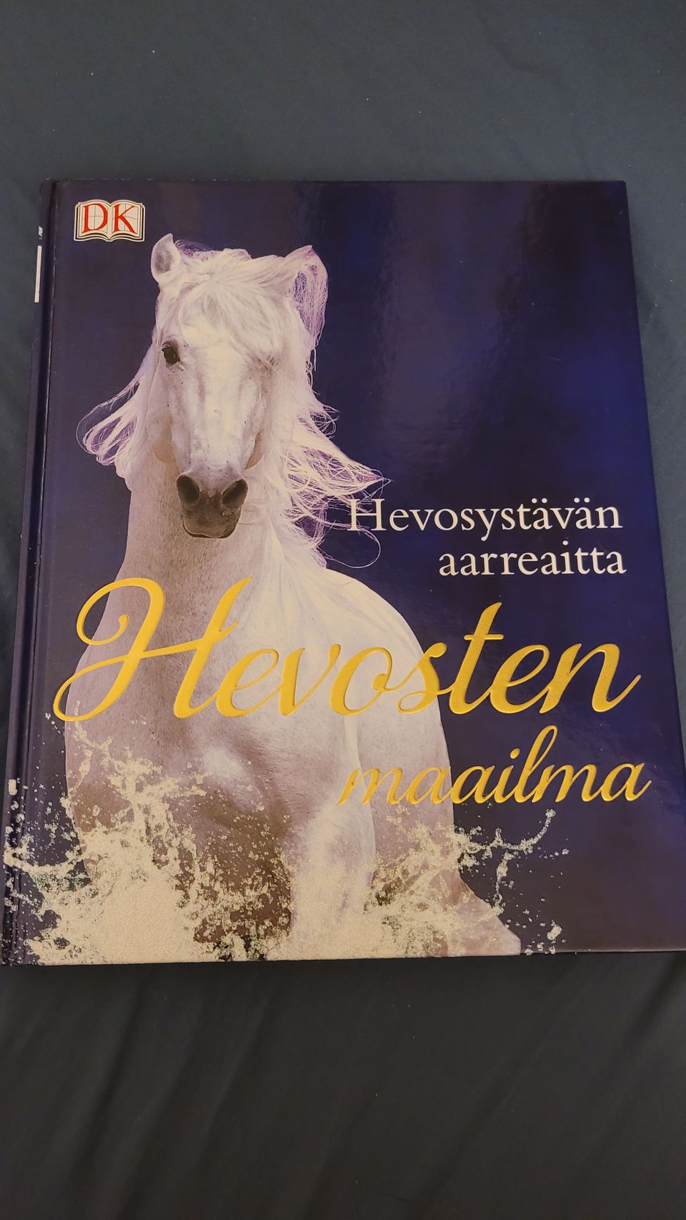 Hevosystävän aarreaitta