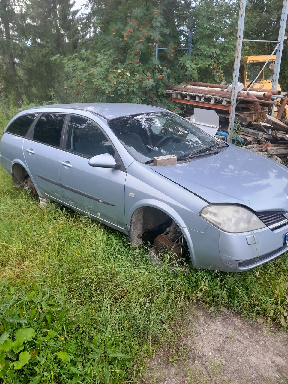 Nissan Primera osina