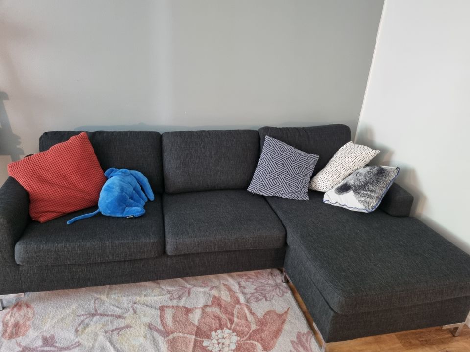 Dark gray sofa, no pets home