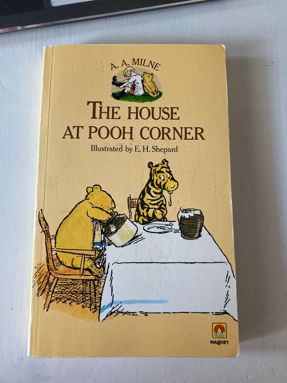 The house at pooh corner