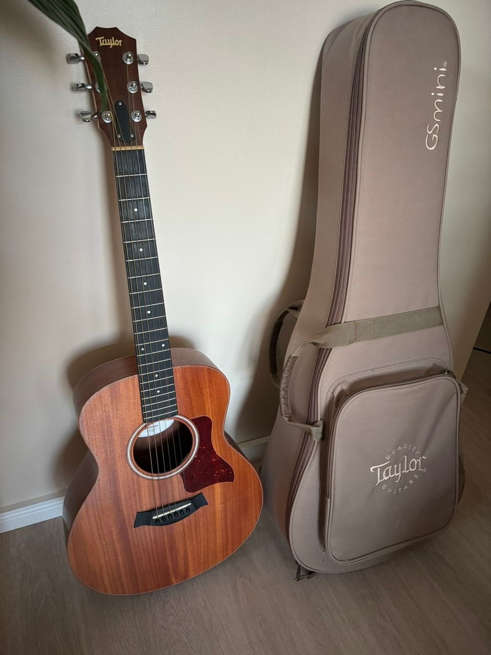 Taylor gs mini mahogany