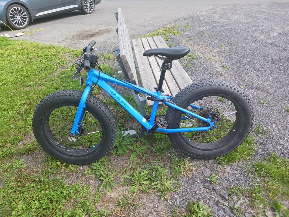 Nishiki Durango 20" fatbike