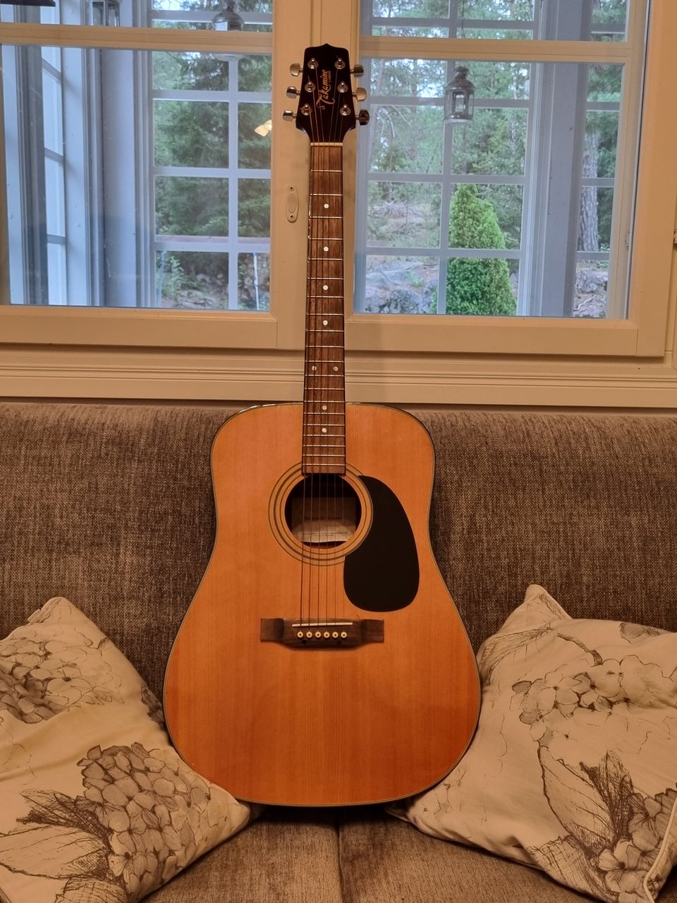 Takamine G530