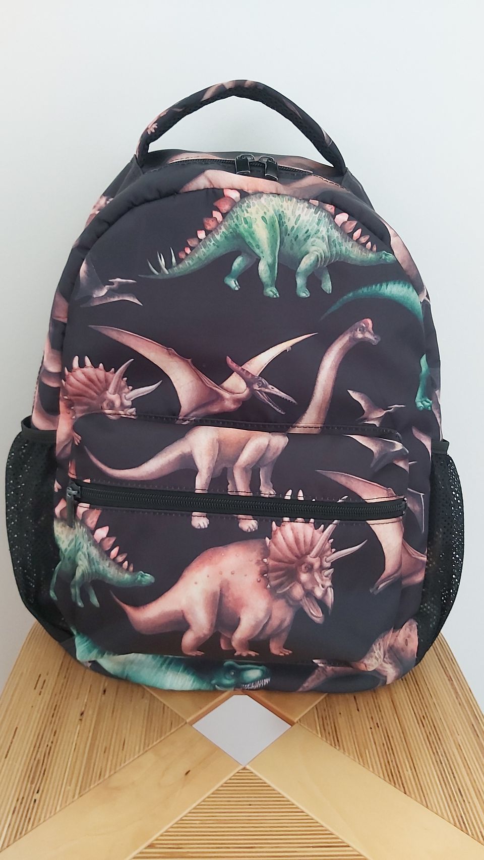 Dinosaurus reppu koululaiselle