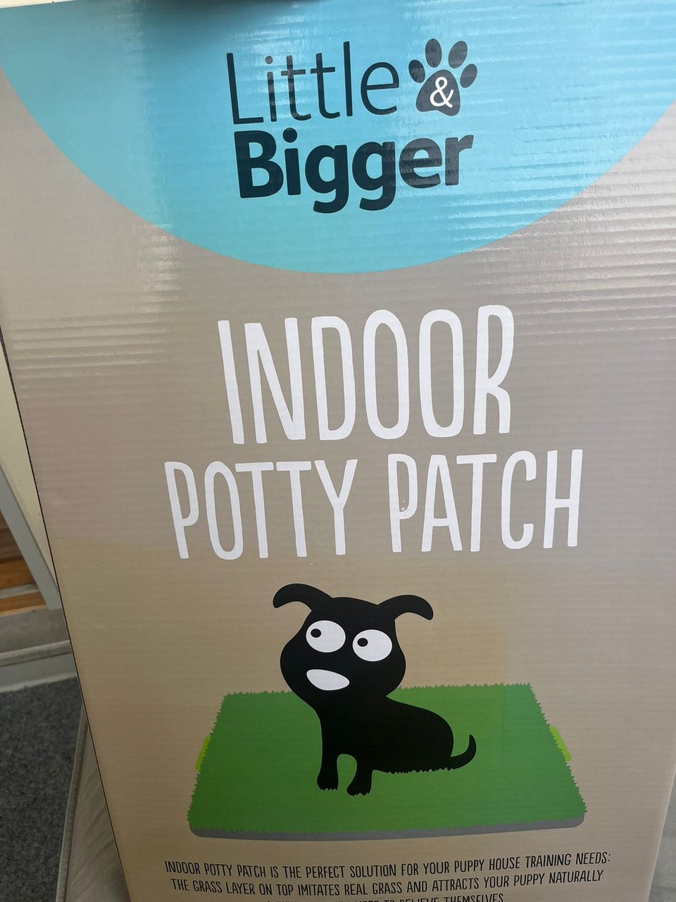 Indoor potty patch