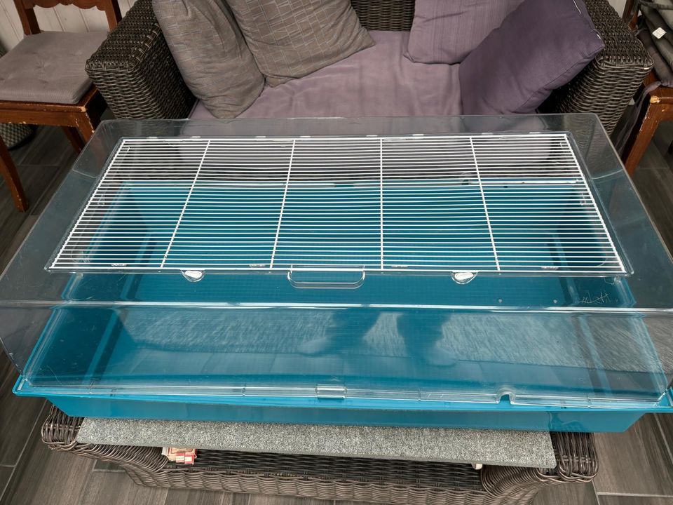 Hamsterin terraario 99x 51 cm