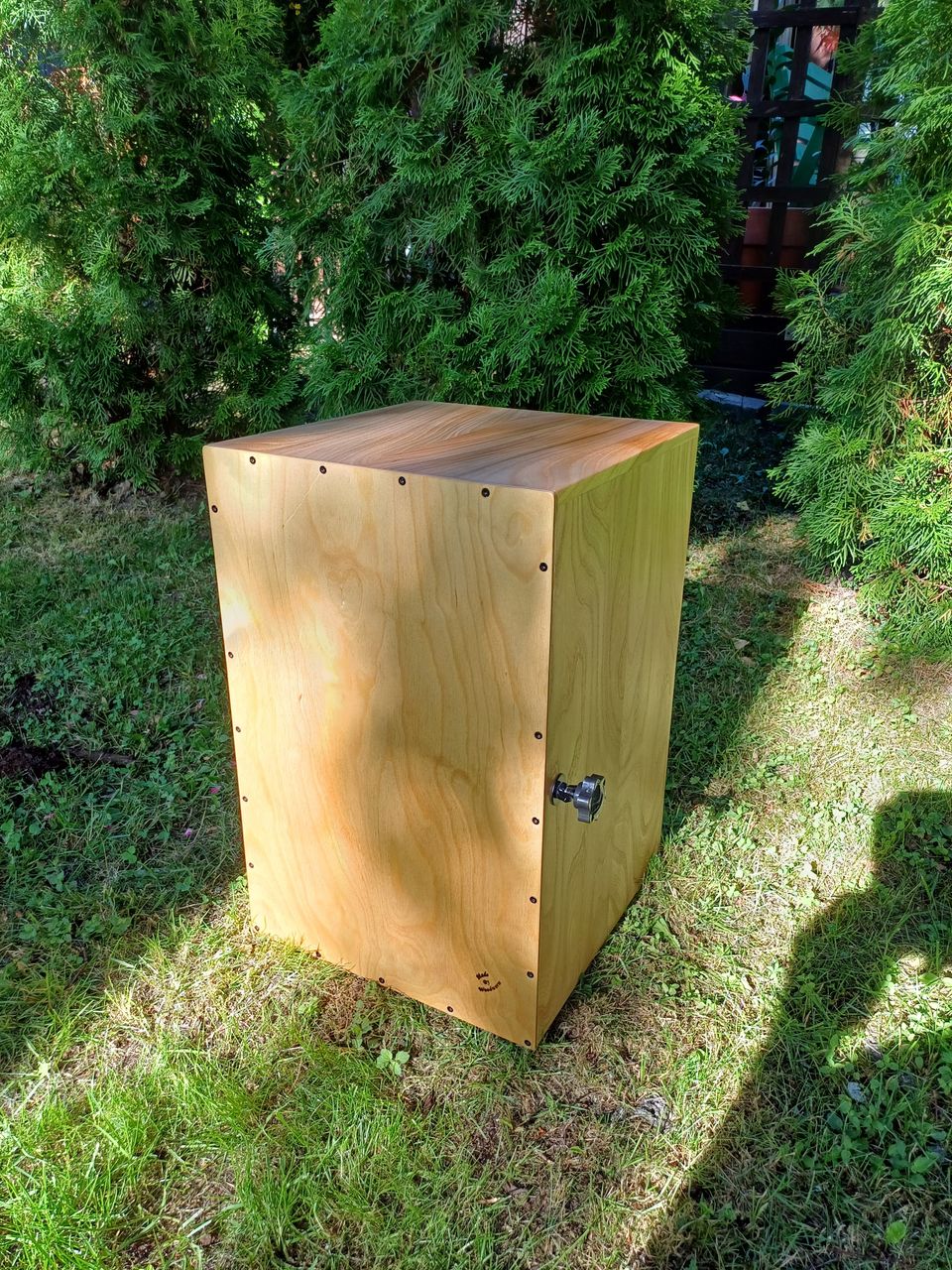 Cajon rumpu jalavaa