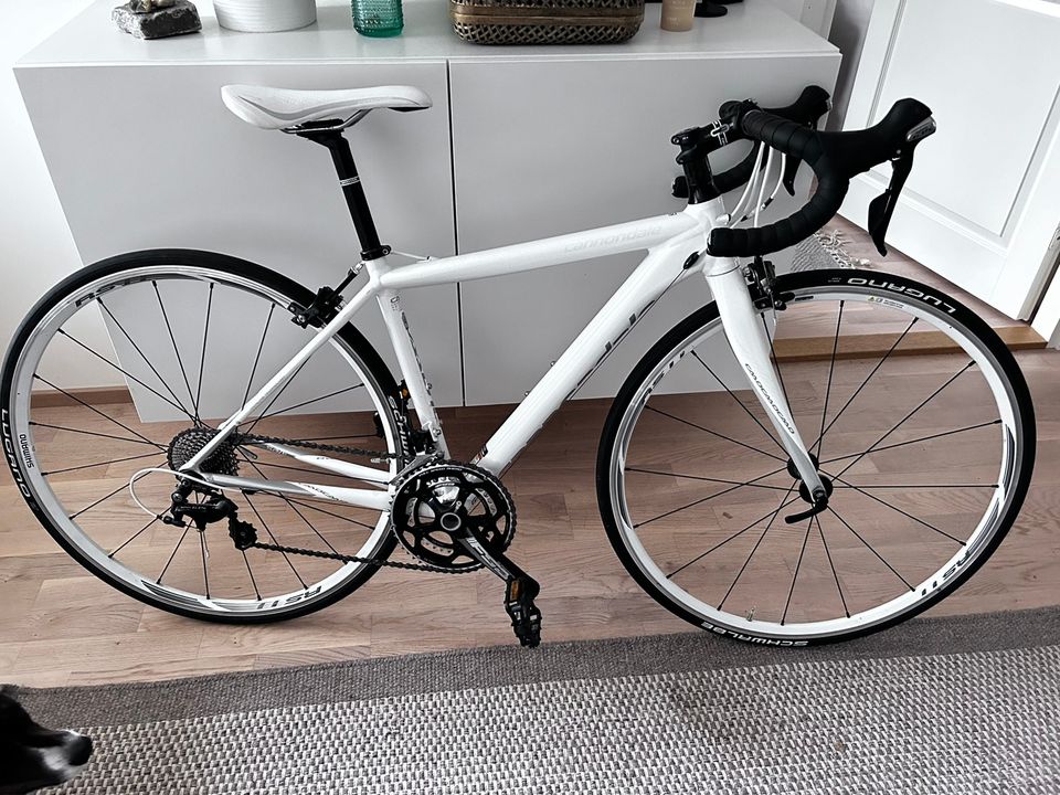 Cannondale Caad 10, 44 cm