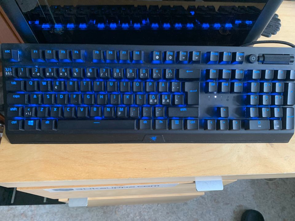 Razer Blackwidow v3