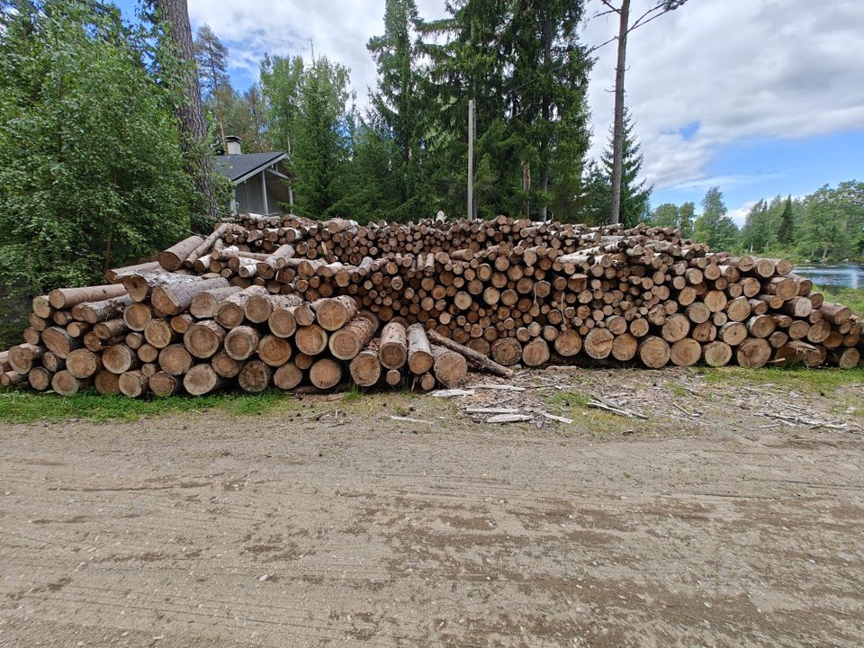 Polttopuuta, halkoja pölleinä 40 €/pinokuutio