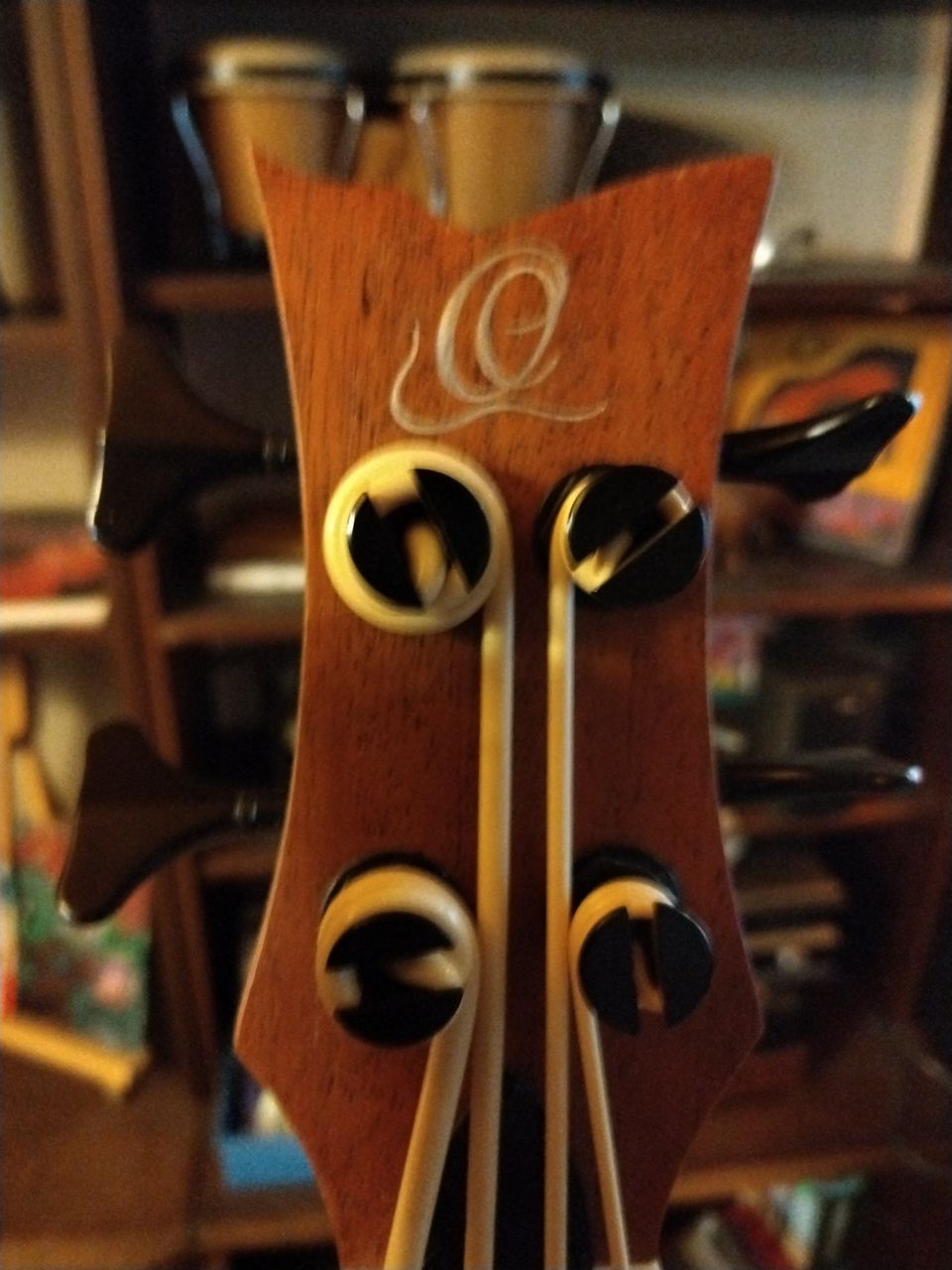 Ortega LIZZY-BS-GB Bass Ukulele