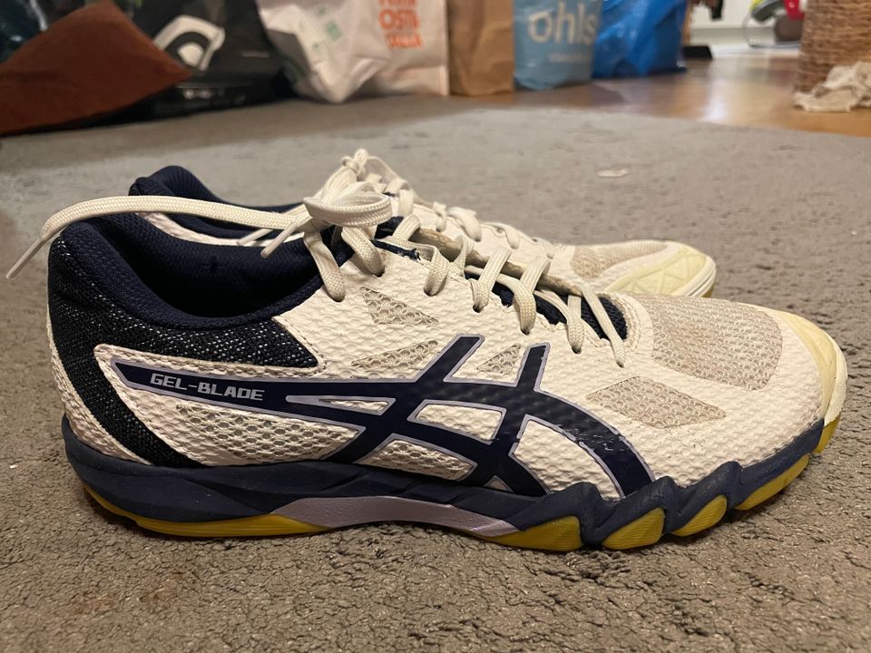 Asics sisäpelikengät 40,5