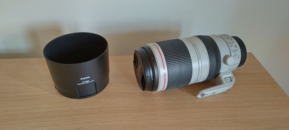 Canon EF 100-400mm f/4.5-5.6L IS II USM