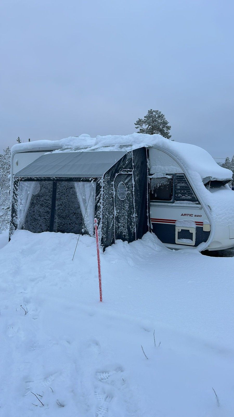 Vuoden vanha Isabella winter teltta