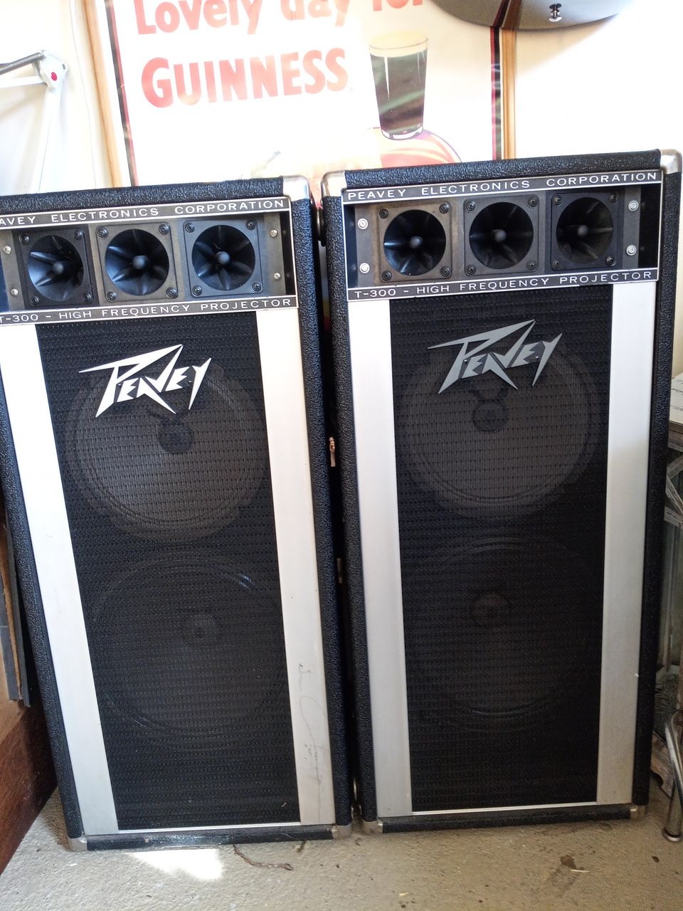 Peavey 350