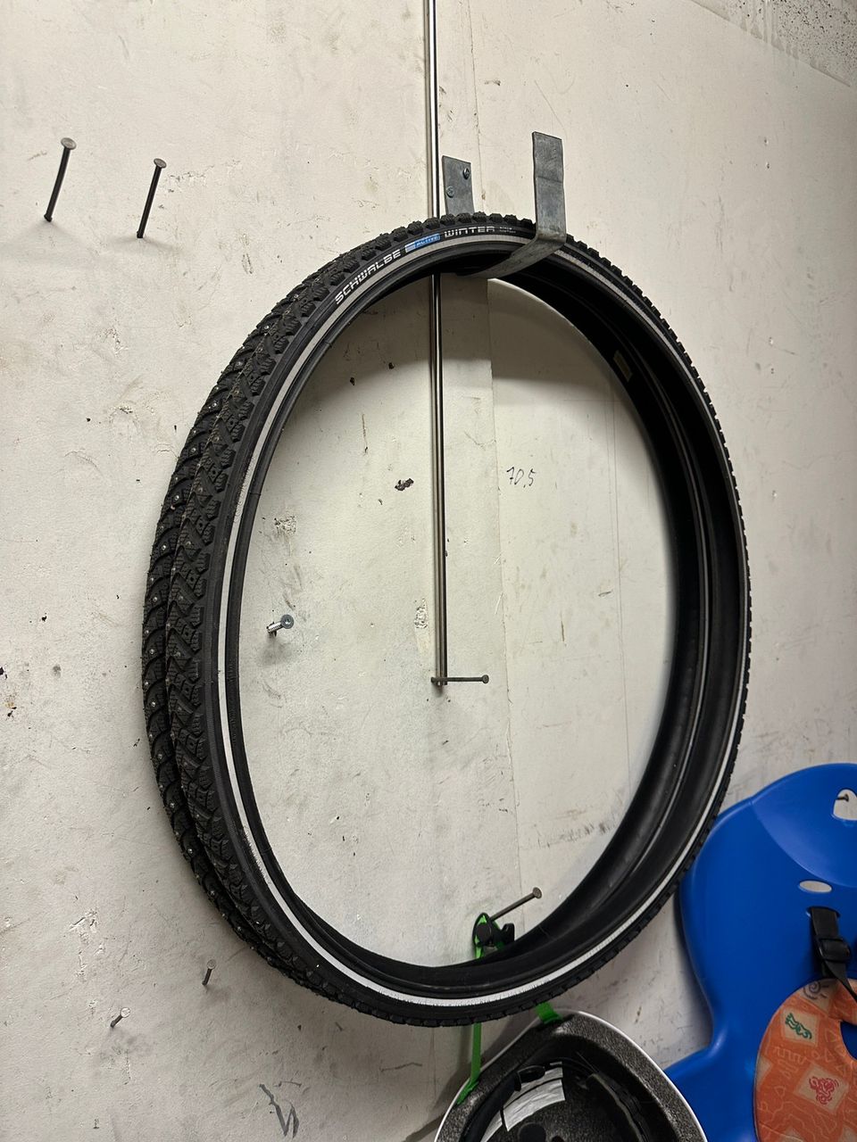 Schwalbe winter nastarenkaat