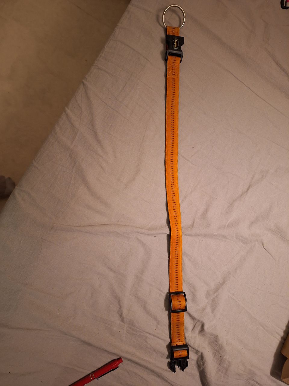 Koiran panta 65 cm