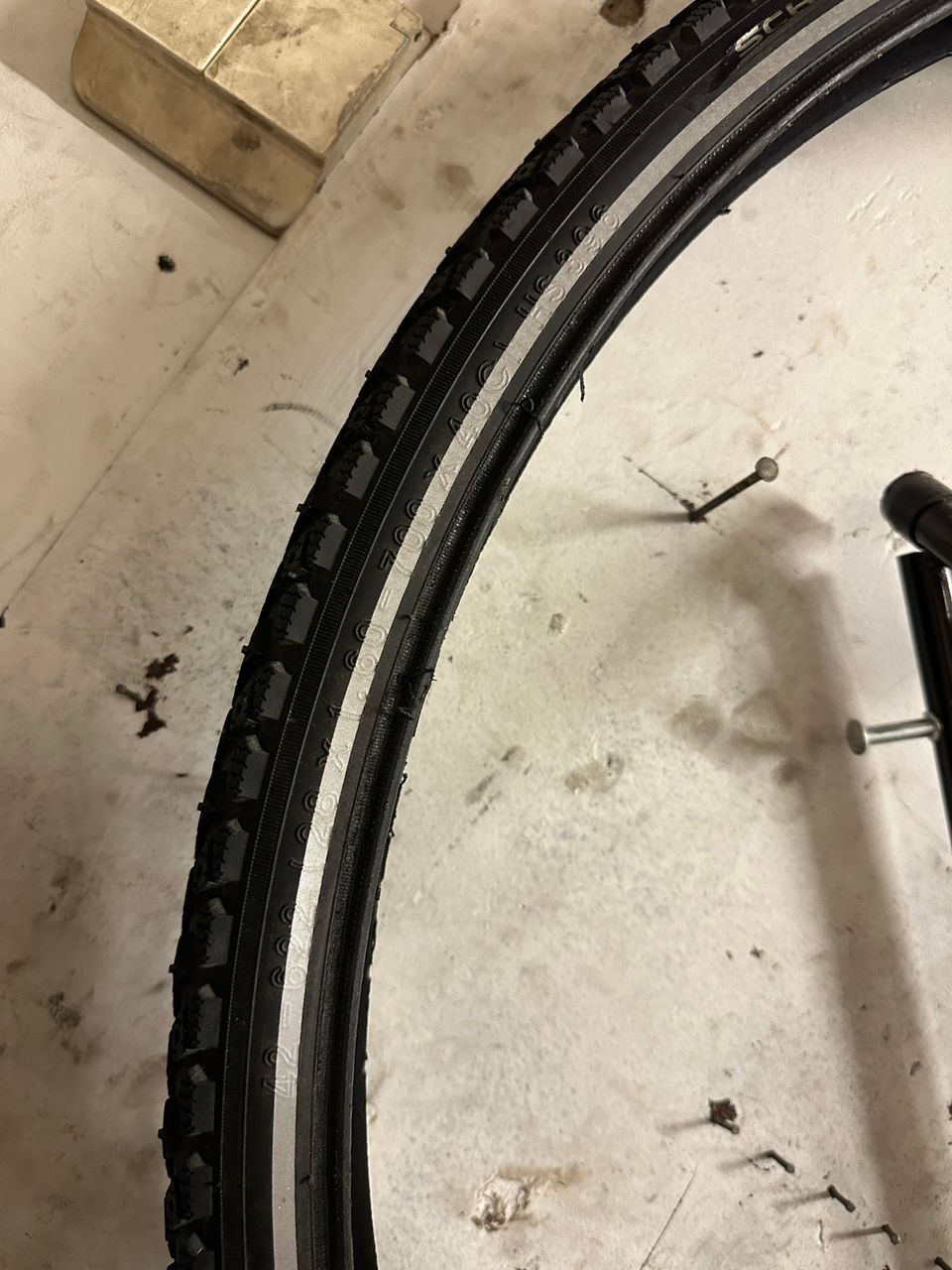 Schwalbe winter nastarengas