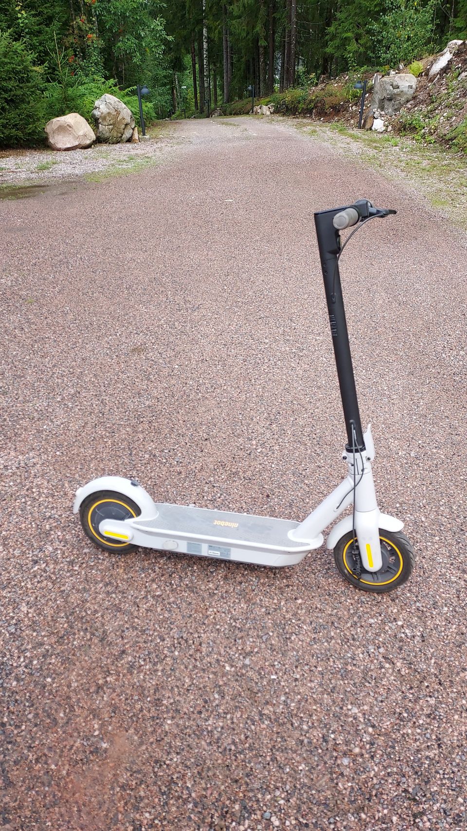 SEGWAY ninebot  G30LE   MAX