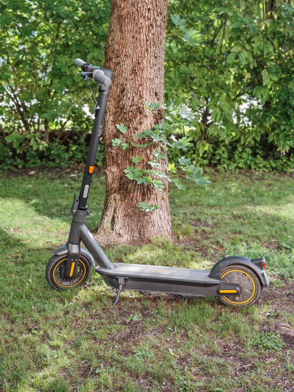 Ninebot by Segway kickscooter max G30e II