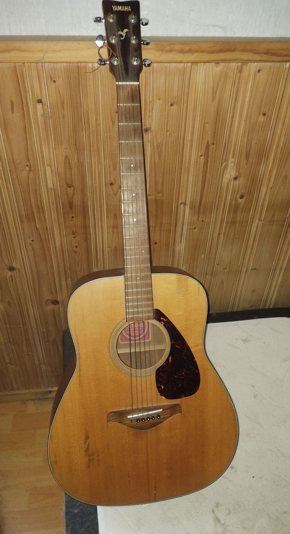 Akustinen kitara, teräskielinen Ibanez FG700MS