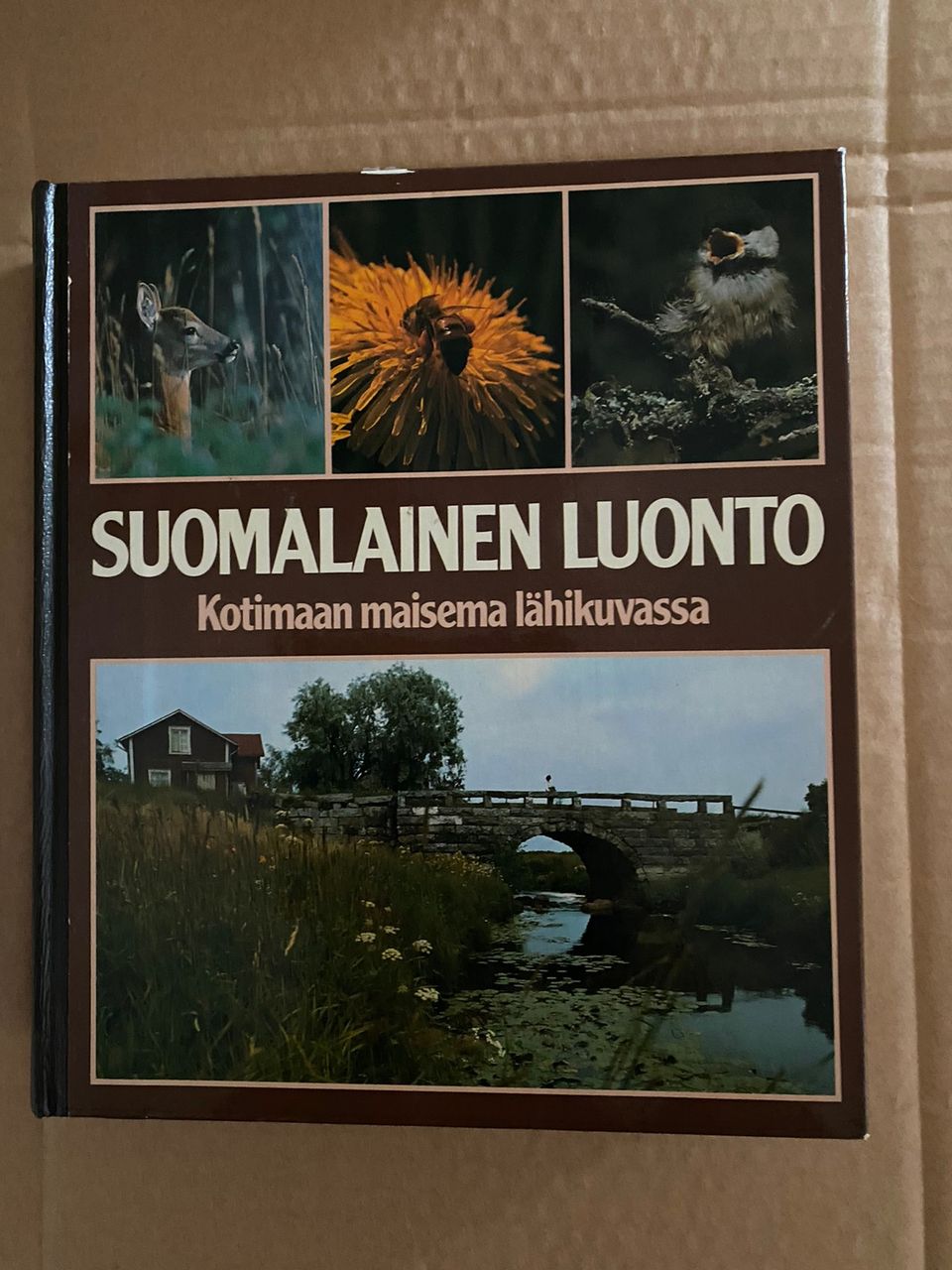 Ilmoituksen kuva