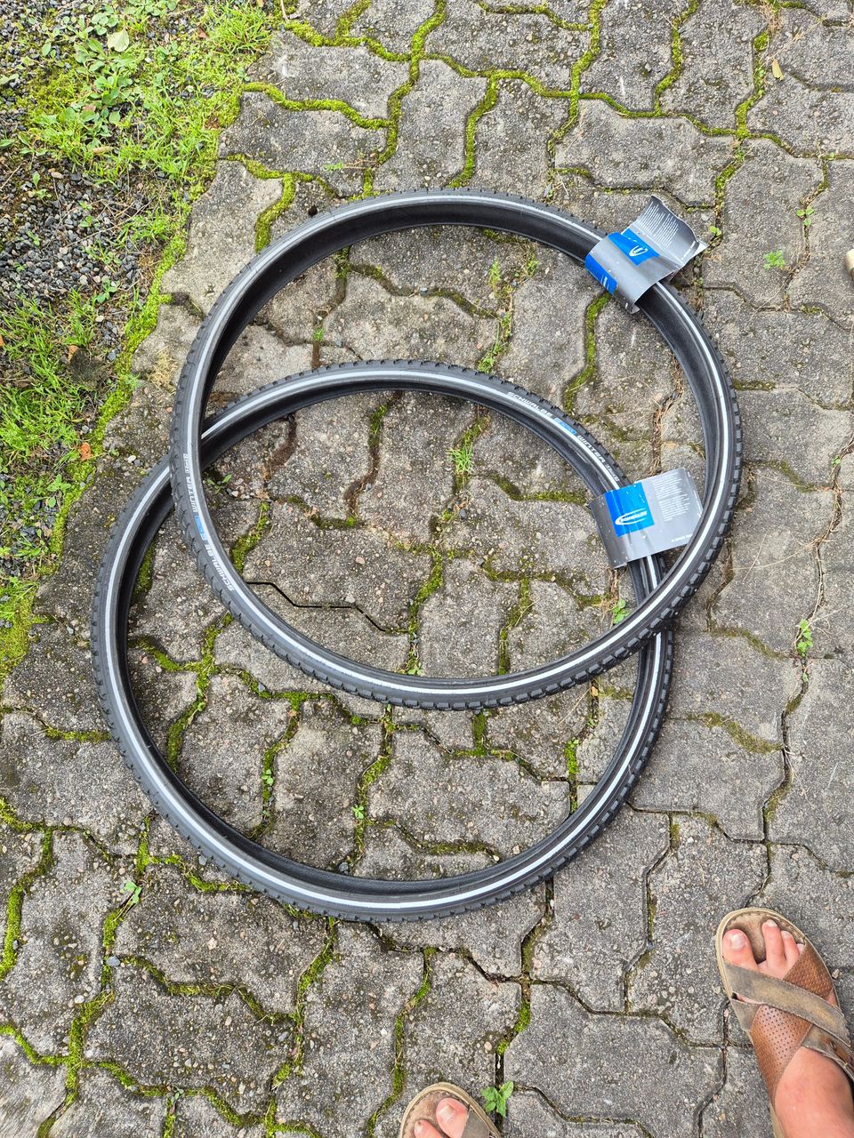 28x1,35 Schwalbe nastarenkaat