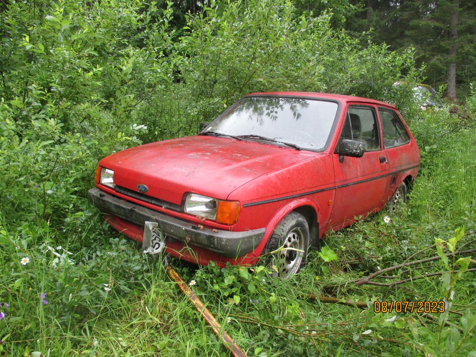 Varaosiksi Ford fiesta