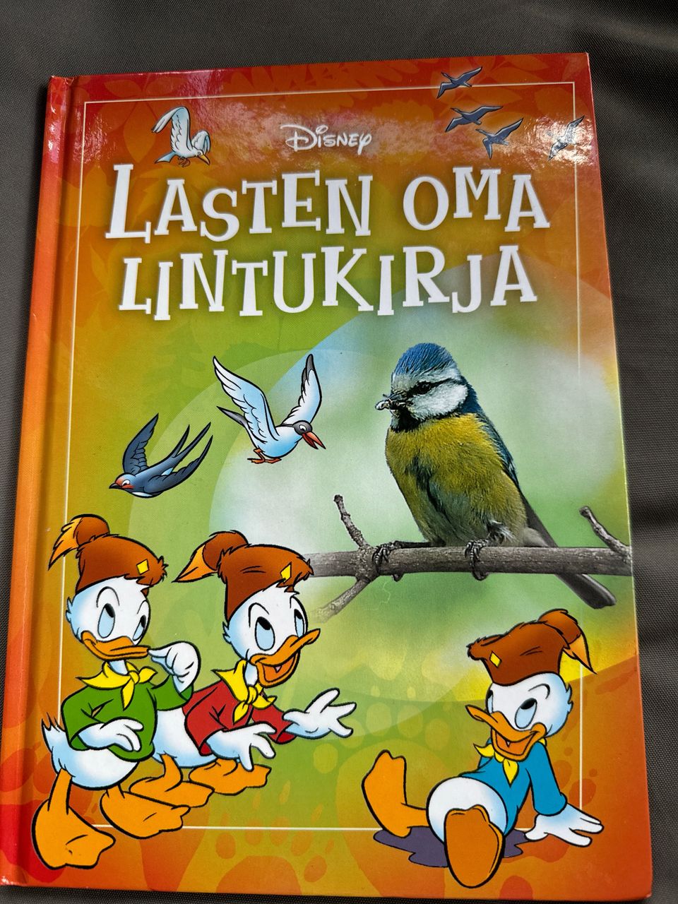 Ilmoituksen kuva