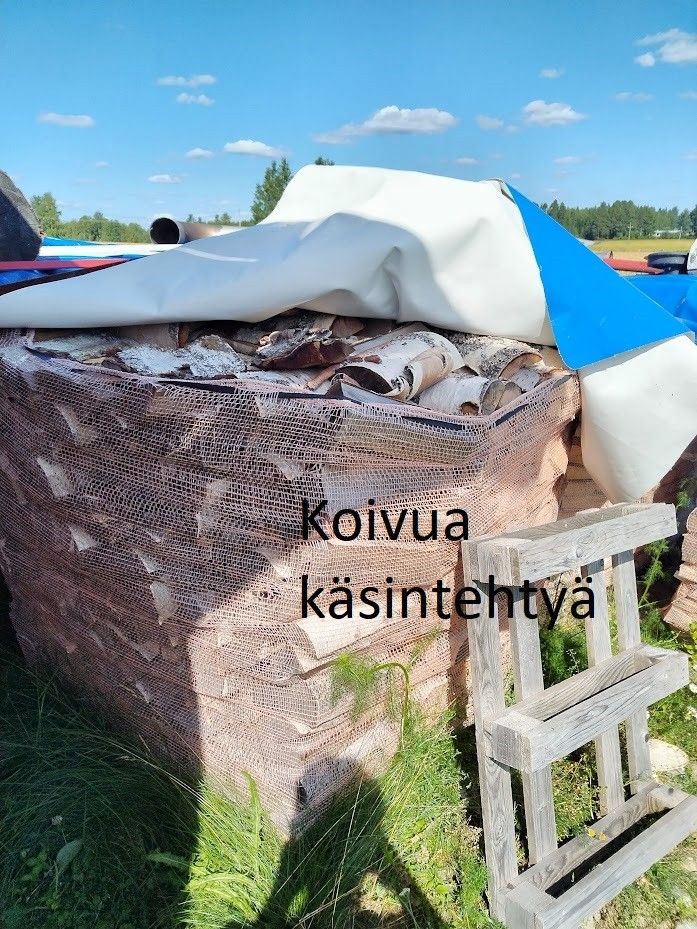 Kuivaa polttopuuta