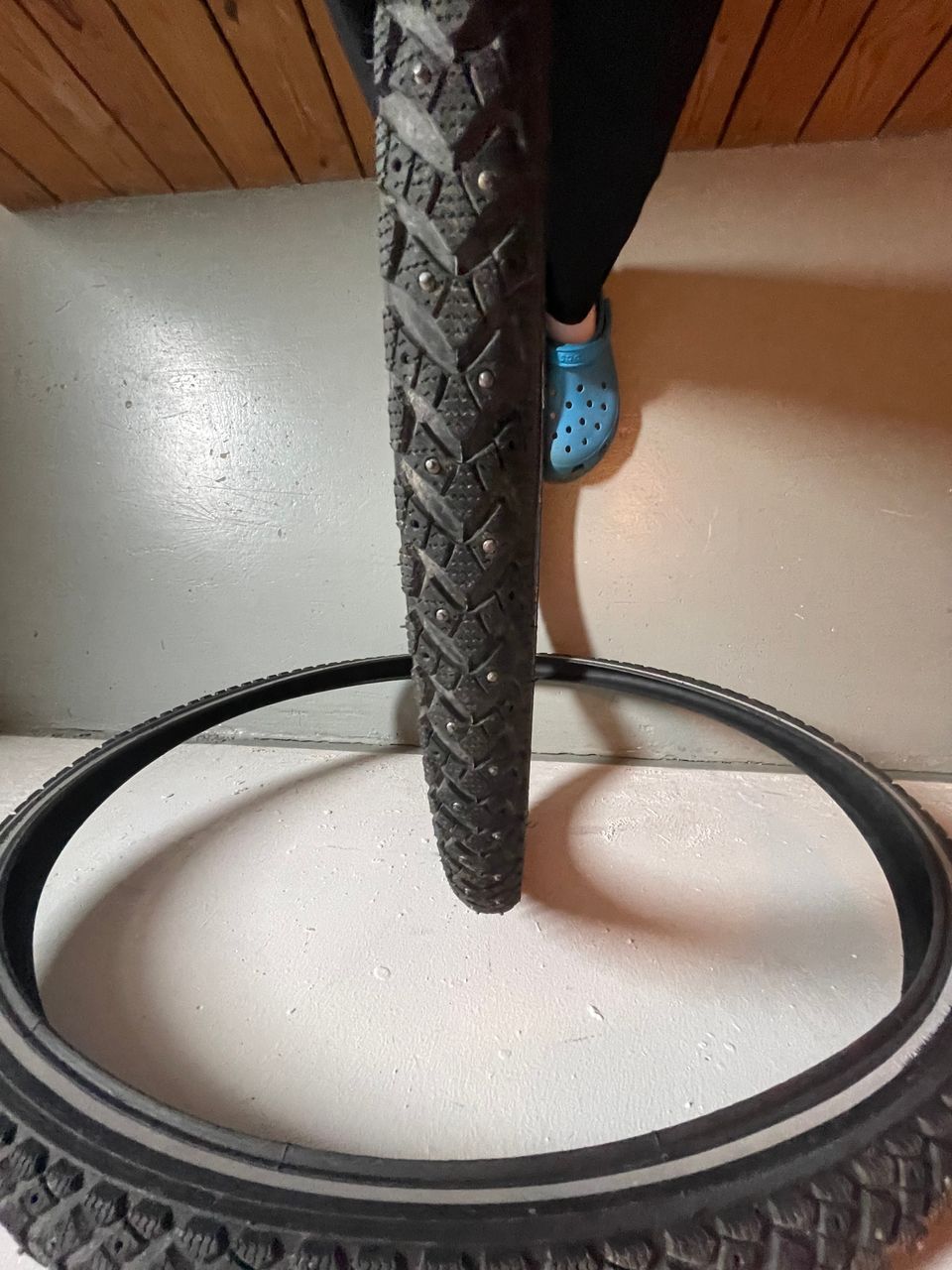 Schwalbe Winter K-Guard 28” nastarenkaat