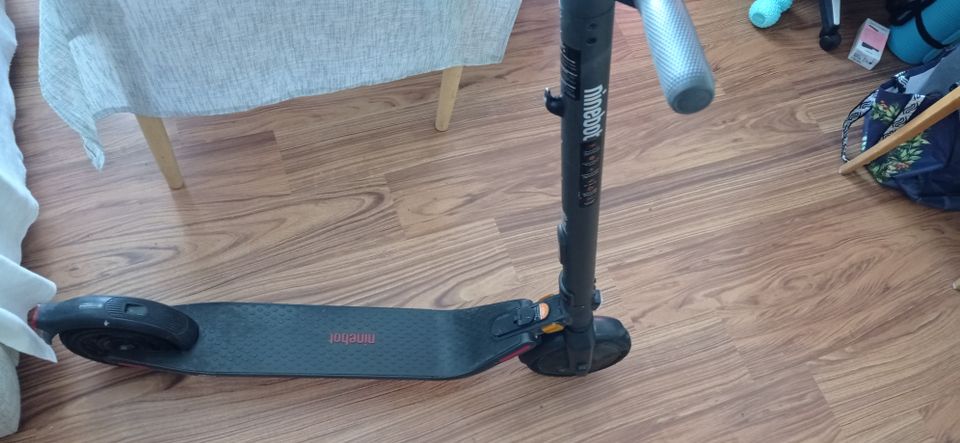 Sähköpotkulautan Segway Ninebot E25E