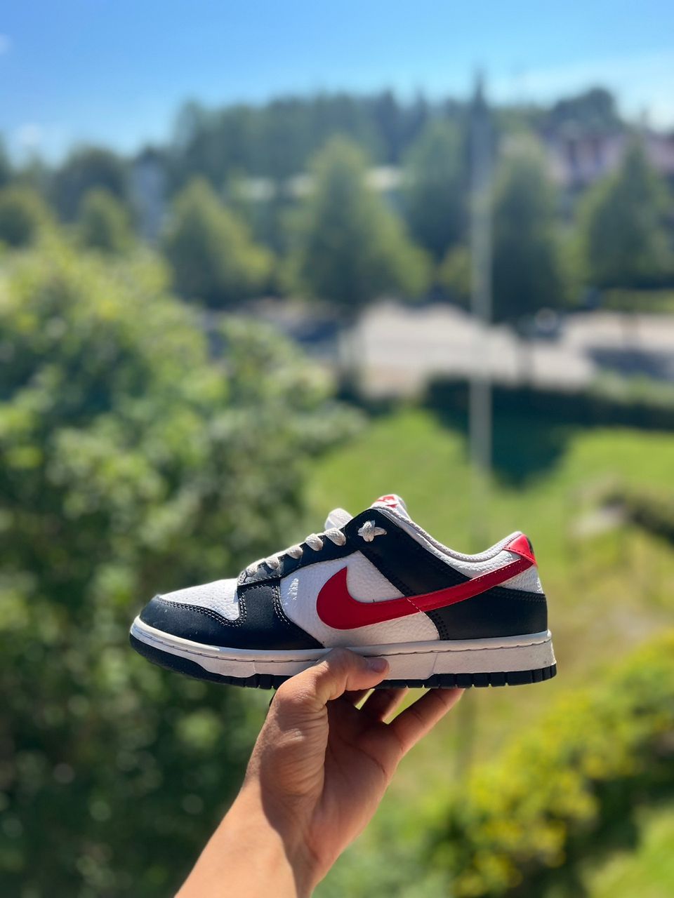 Nike Dunk Low Retro Red Swoosh Panda