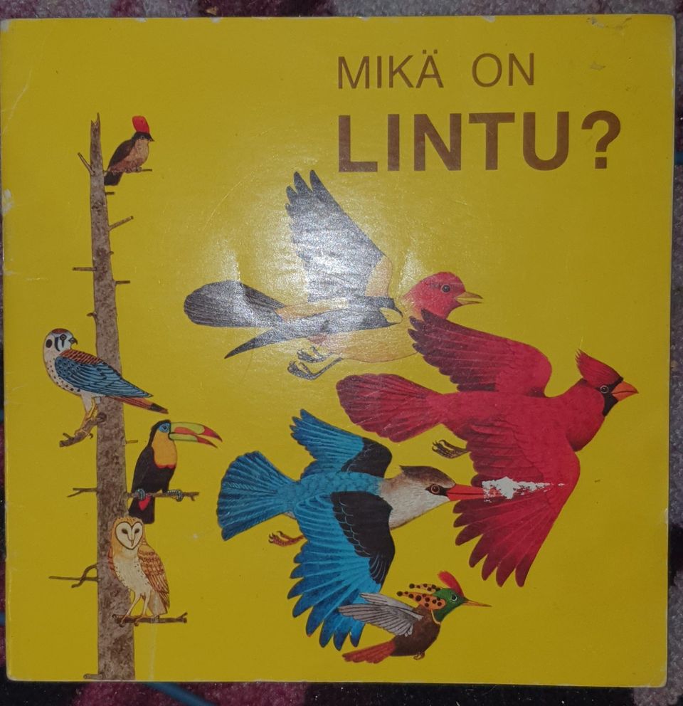 Mikä on lintu?