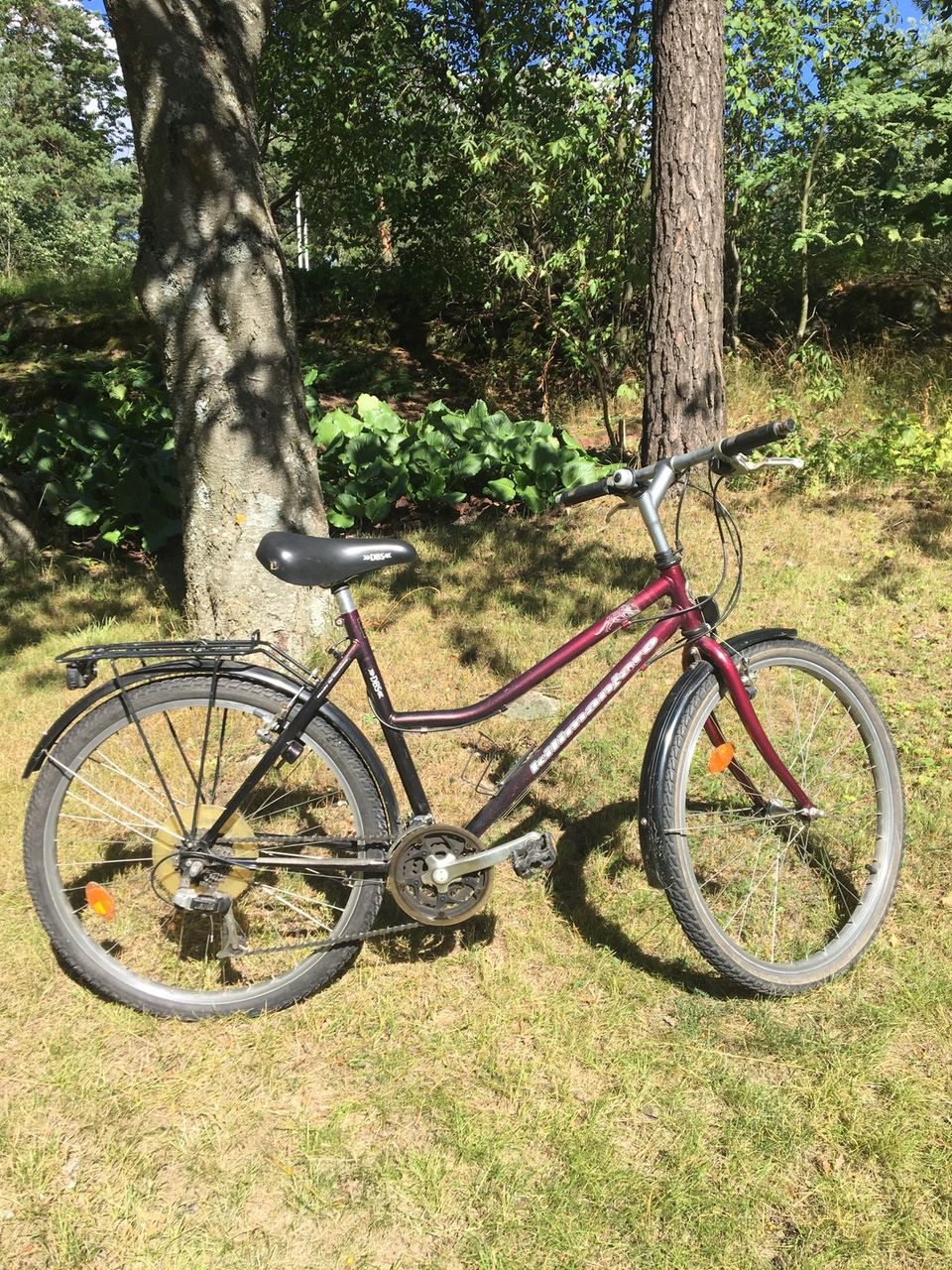 DBS pyörä runko 49cm