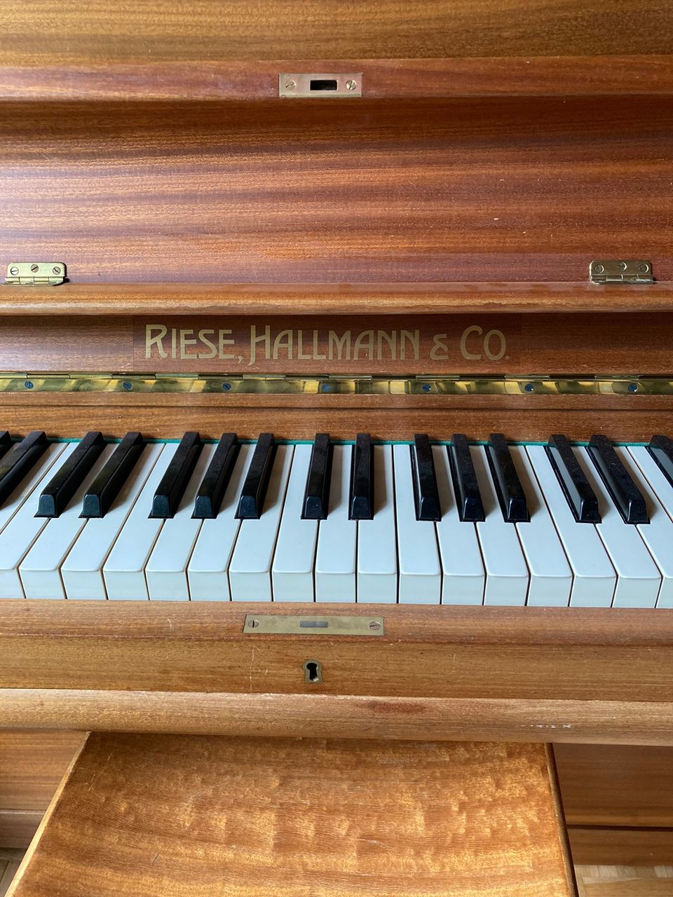 Riese Hallmann piano