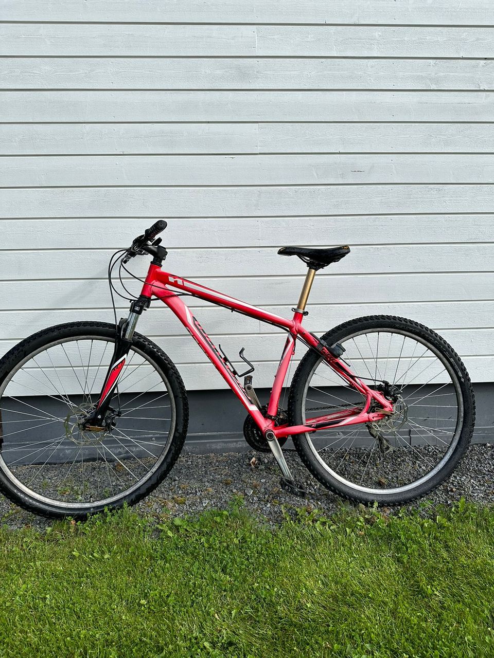 Specialized Rockhopper comp 29”