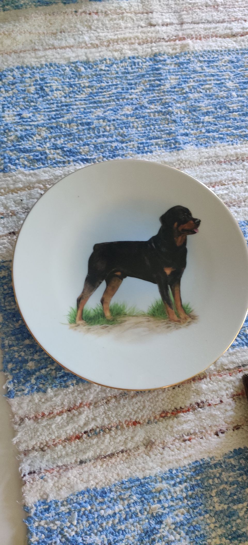 Rottweiler seinälautanen