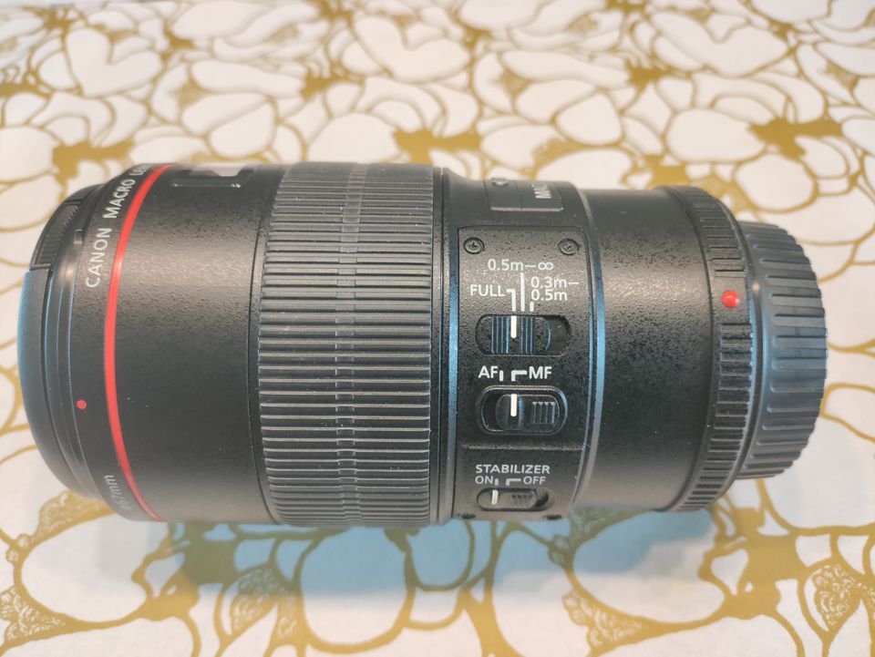 Canon EF 100mm f/2.8 L IS USM Macro