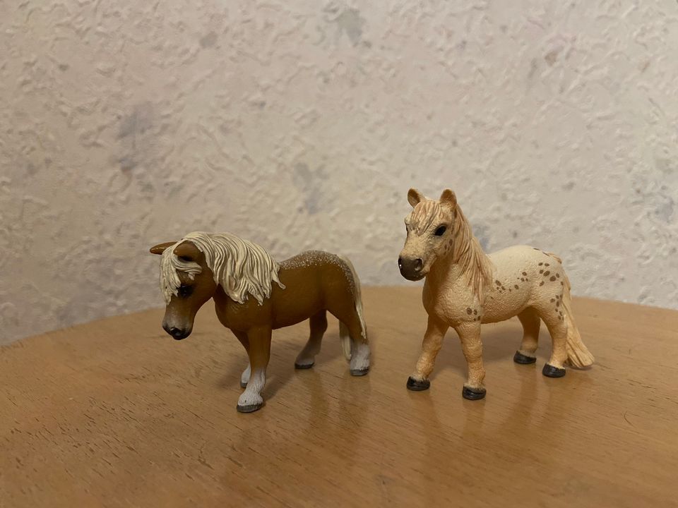 Schleich ponit