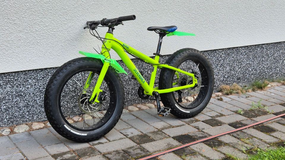 Silverback Scoop quarter lasten 20" fatbike vihreä