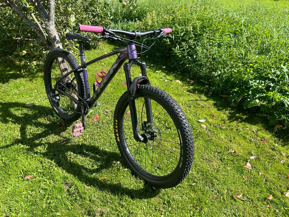 Trek roscoe 8