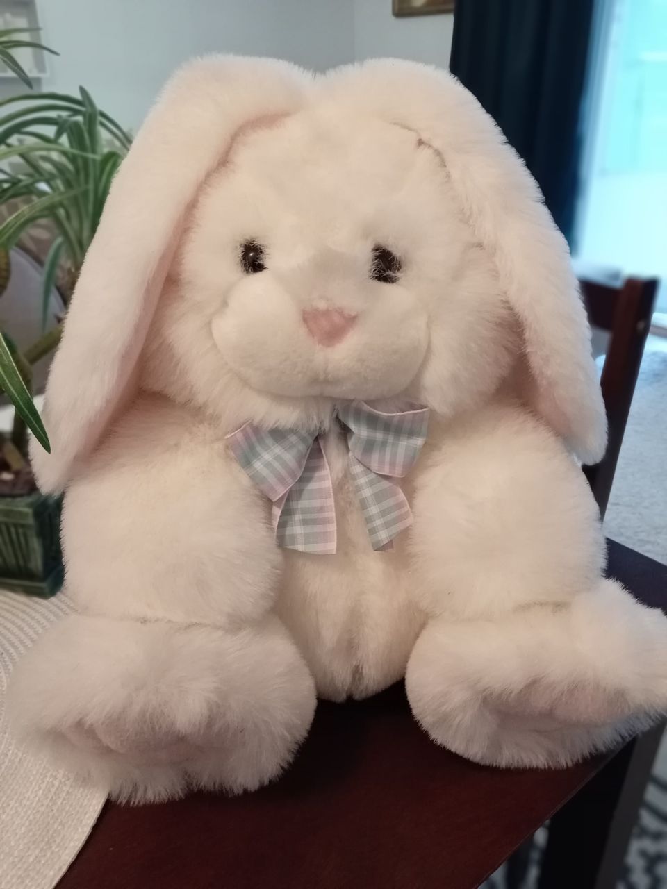 Iso leikkipupu🐰🐰